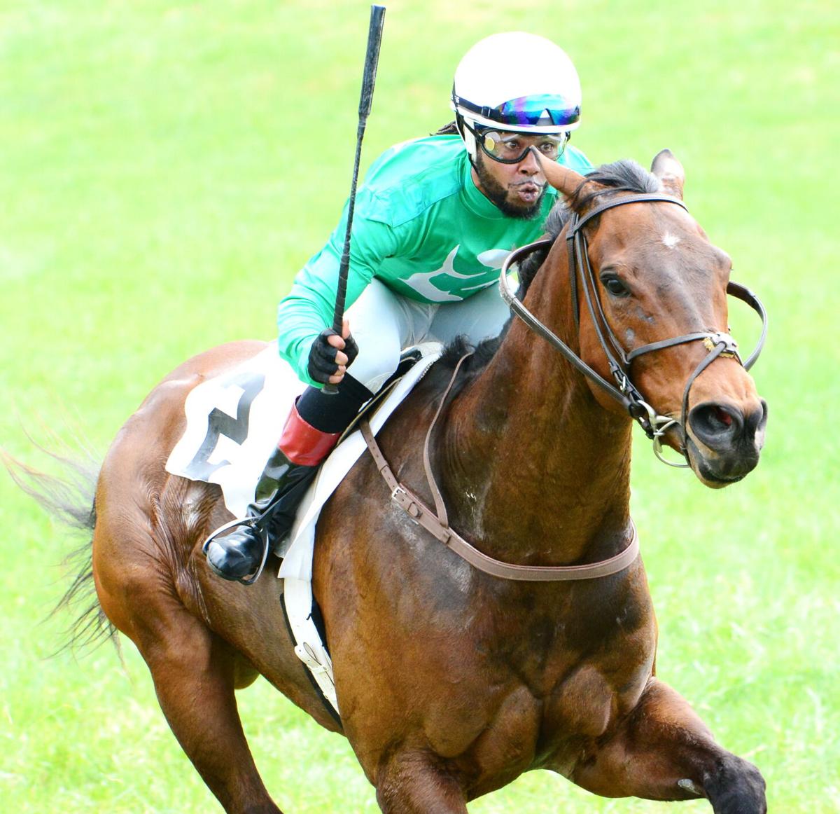 7 Expert Secrets to Maximizing Your Virginia Gold Cup 2024 Experience