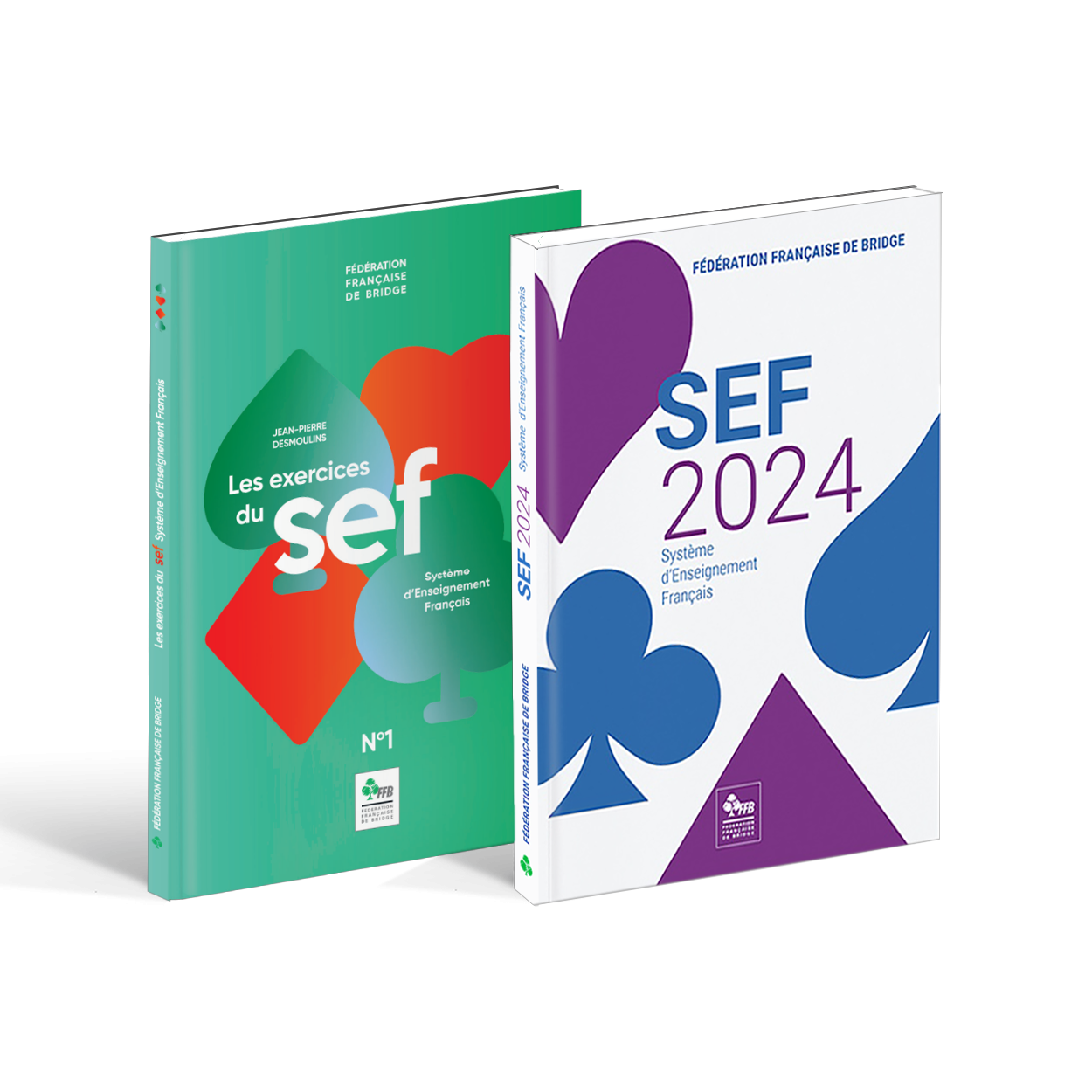 10 Expert Secrets to Mastering the USSF E Coaching License in 2024