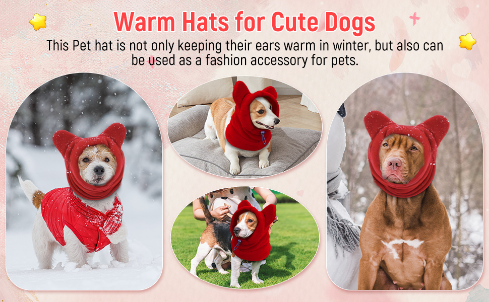 10 Expert Tips for Choosing Warm Hats for Dogs: Keep Your Pup Cozy This Winter
