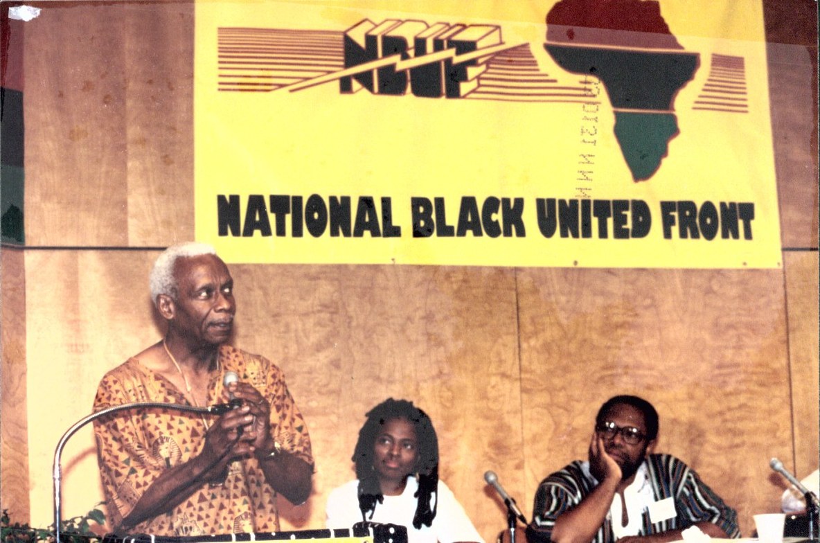 7 Expert Insights to Unlock the Impact of the National Black United Front