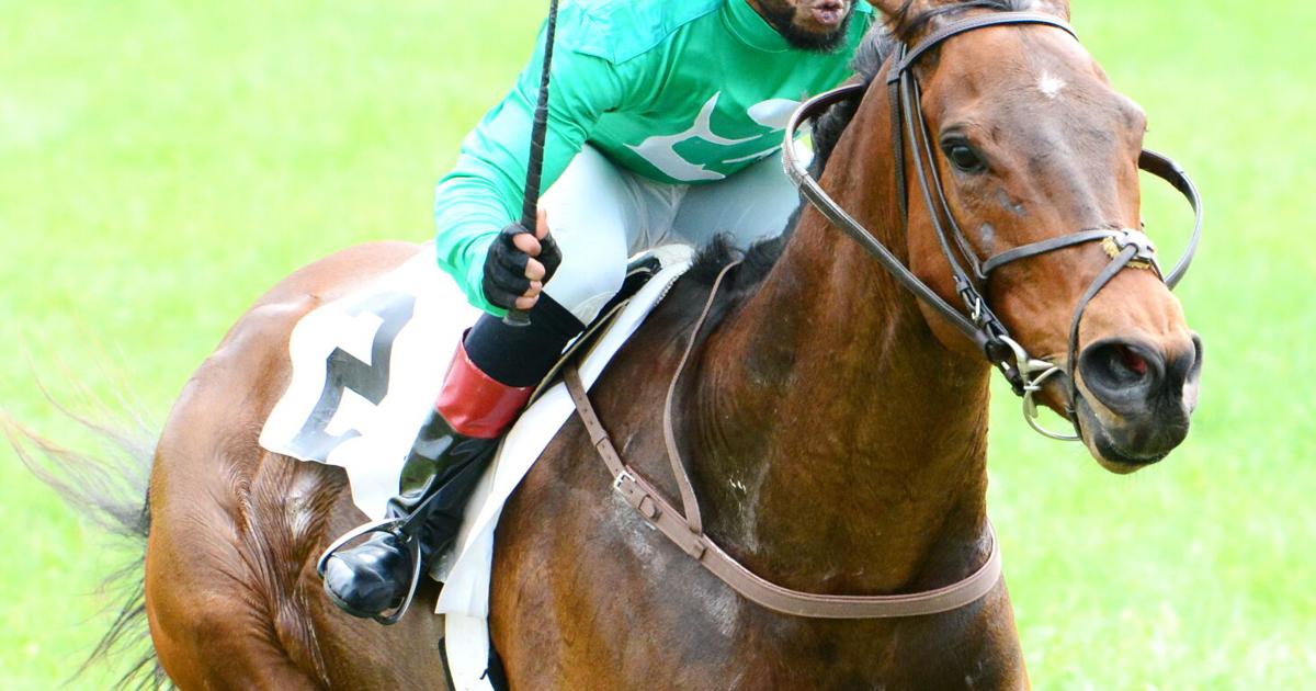 7 Must-Know Secrets to Securing Virginia Gold Cup Tickets: The Expert’s Ultimate Guide for 2024