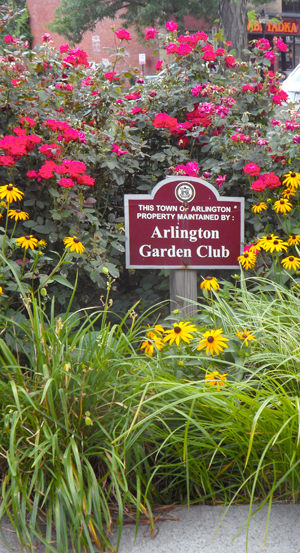 7 Expert Secrets to Maximizing Your Arlington Garden Club Experience: The Ultimate Guide for Local Gardeners