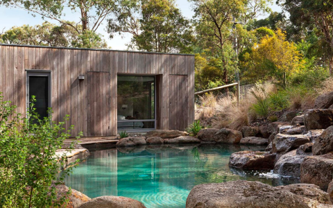 7 Expert Secrets to Designing a Breathtaking Peacock Pool: The Ultimate Home Oasis Guide