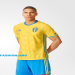 Sweden Soccer Kit: A Legacy in Yellow and Blue
