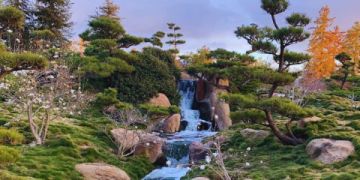 7 Expert Secrets to Maximizing Your Arlington Garden Club Experience: The Ultimate Guide for Local Gardeners