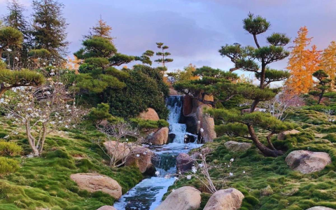 7 Expert Secrets to Maximizing Your Arlington Garden Club Experience: The Ultimate Guide for Local Gardeners