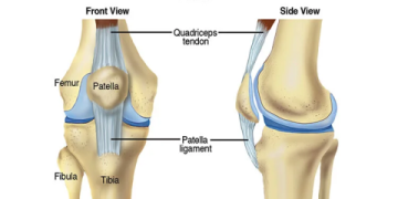 7 Expert Solutions for Knee Injury Soccer: The Ultimate Recovery Guide Every Player Needs