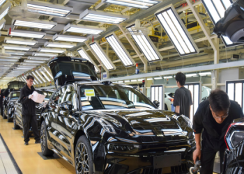 7 Secrets Experts Use to Maximize Player 15 HQ for Unbeatable Performance