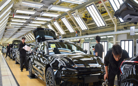 7 Secrets Experts Use to Maximize Player 15 HQ for Unbeatable Performance