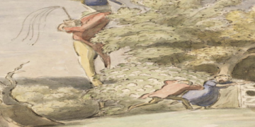 7 Expert Secrets to Finding the Best Peacock Male for Sale: Buyer’s Guide and Mistakes to Avoid