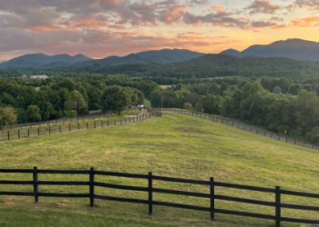 7 Expert Secrets to Win the NJ Soccer State Cup: The Ultimate 2024 Guide