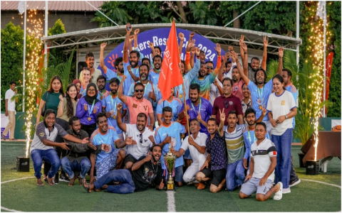 7 Expert Secrets to Choosing Knockout Seals: The Ultimate Industrial Guide