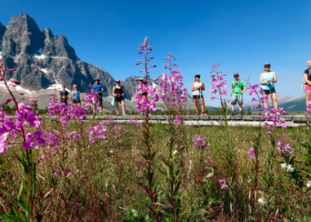 7 Expert Secrets to Mastering Striker Field Park: The Ultimate Visitor’s Guide