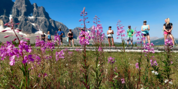 7 Expert Secrets to Mastering Striker Field Park: The Ultimate Visitor’s Guide