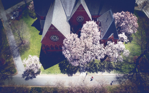 7 Expert Secrets to Winning the Kentucky Presidents Cup: Strategies, Myths & Action Steps